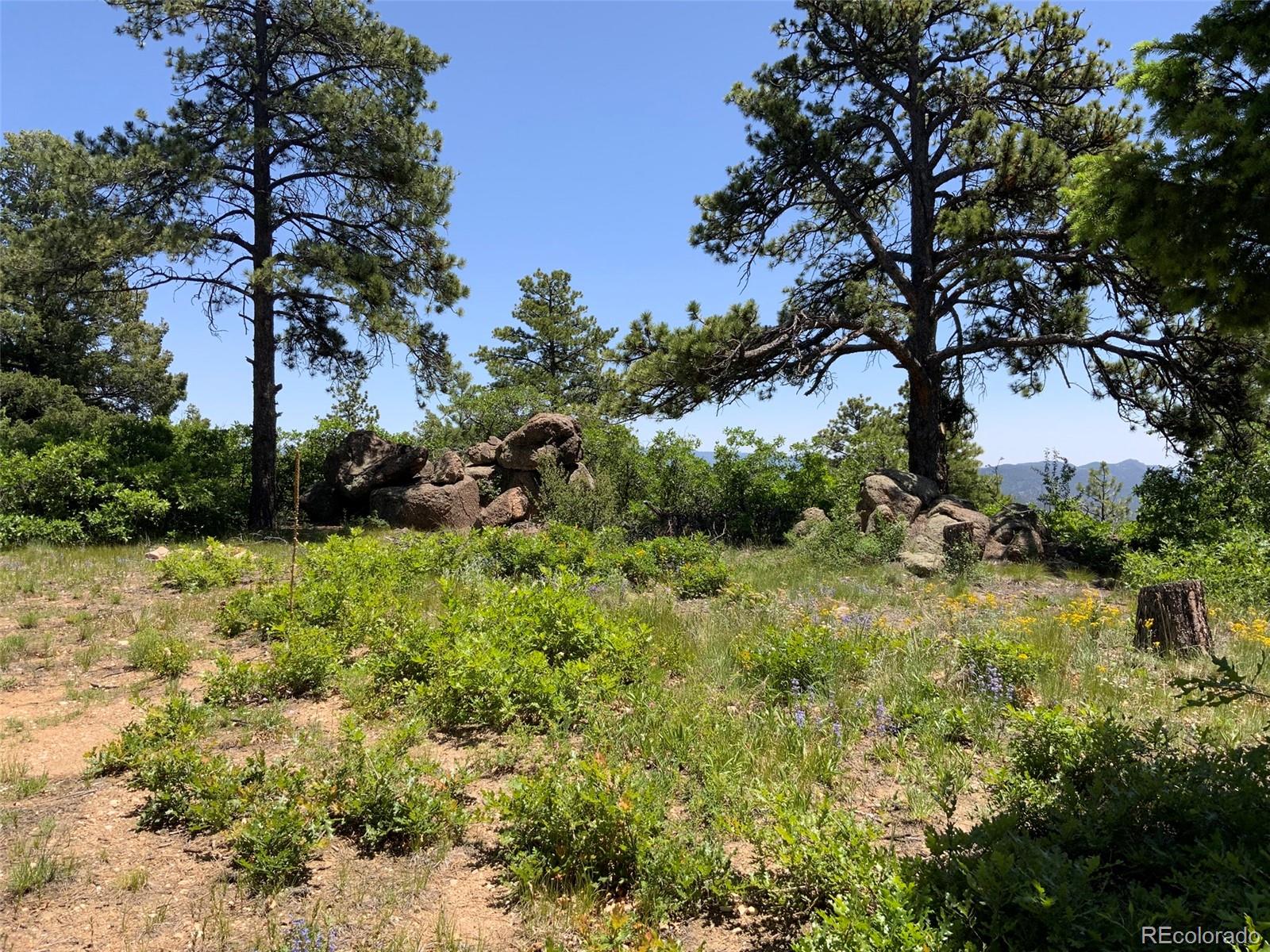 0 Peak View Ridge Canon City, CO 81212 - Photo 9 of 43 a view of a garden