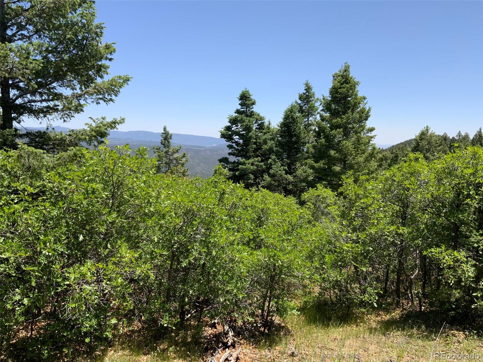 0 Peak View Ridge Canon City, CO 81212 - Photo 10 of 43