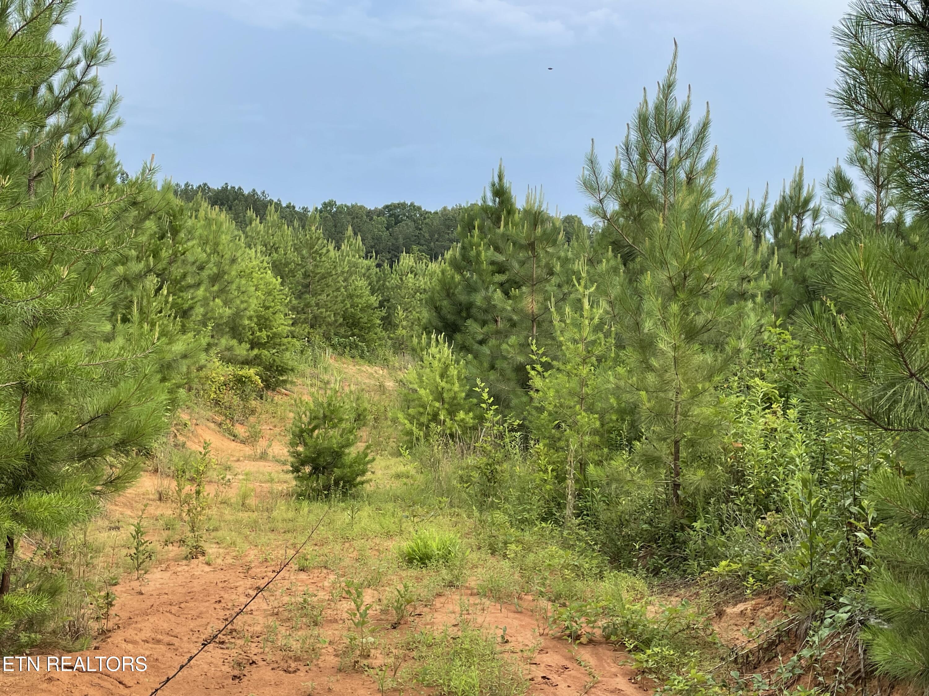 Millsaps Road Vonore, TN 37885 - Photo 11 of 18 IMG_1830