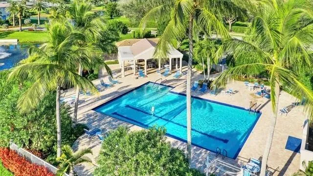 a view of a backyard with plants