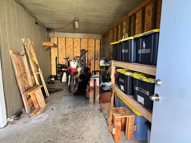 a view of a yard with plants