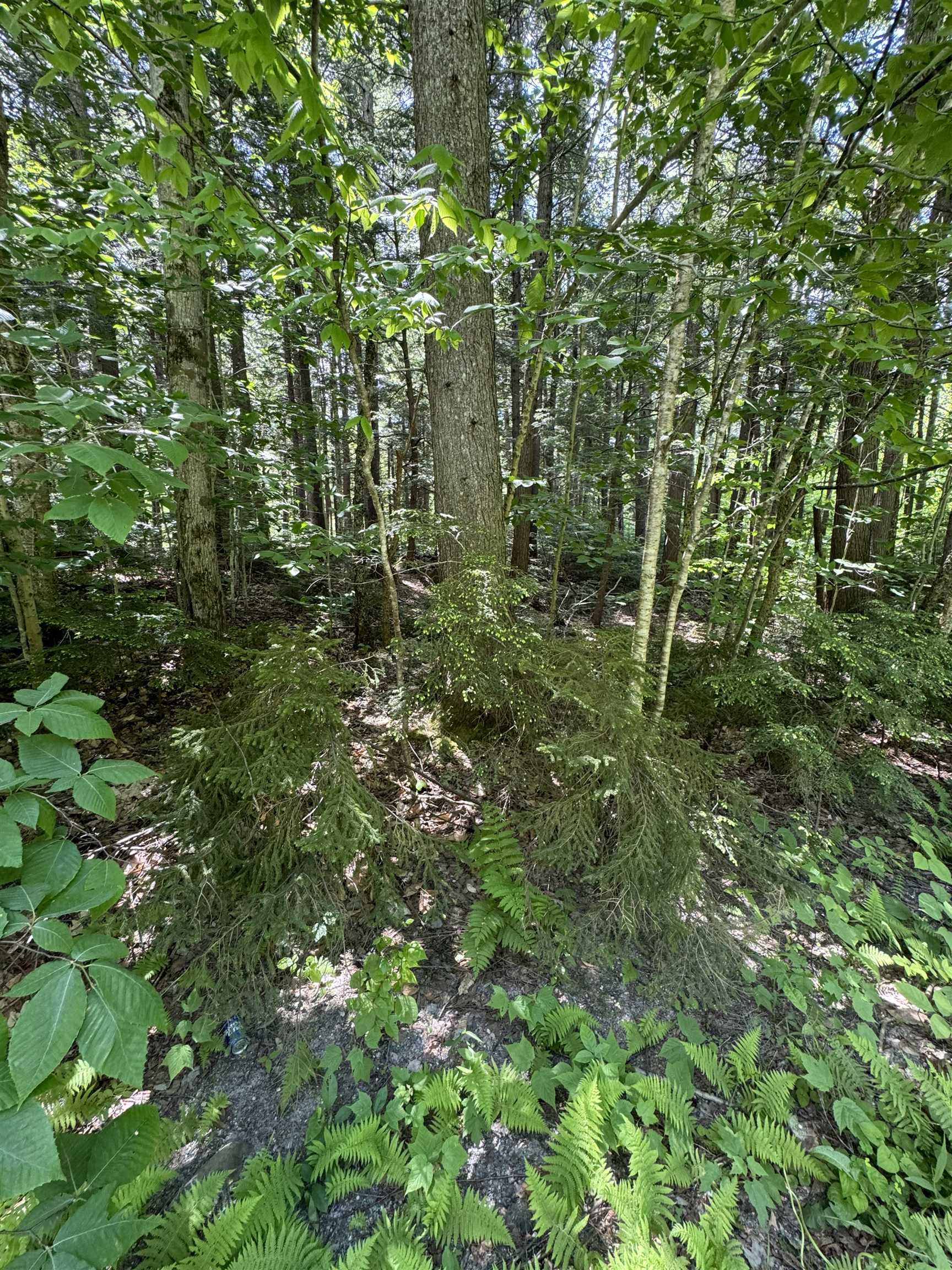 0 Boardman Loop West Wardsboro, VT 05360 - Photo 1 of 6