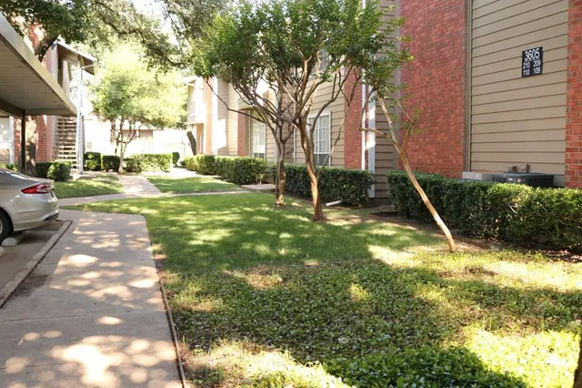 a view of a yard with plants and large trees