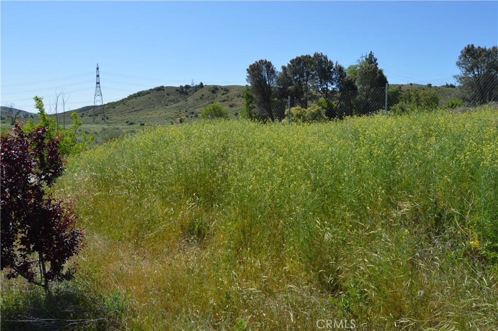 0 Elizabeth Lake Road Lake Hughes, CA 93532 - Photo 18 of 24 a view of a field