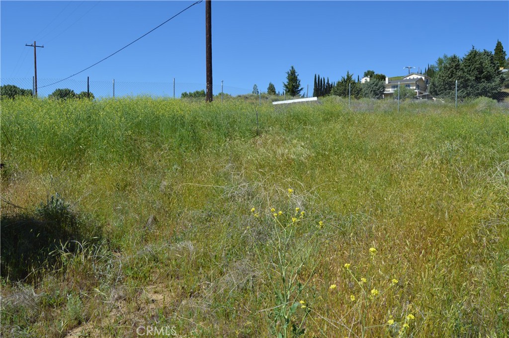 0 Elizabeth Lake Road Lake Hughes, CA 93532 - Photo 5 of 24 a view of a field with sitting space