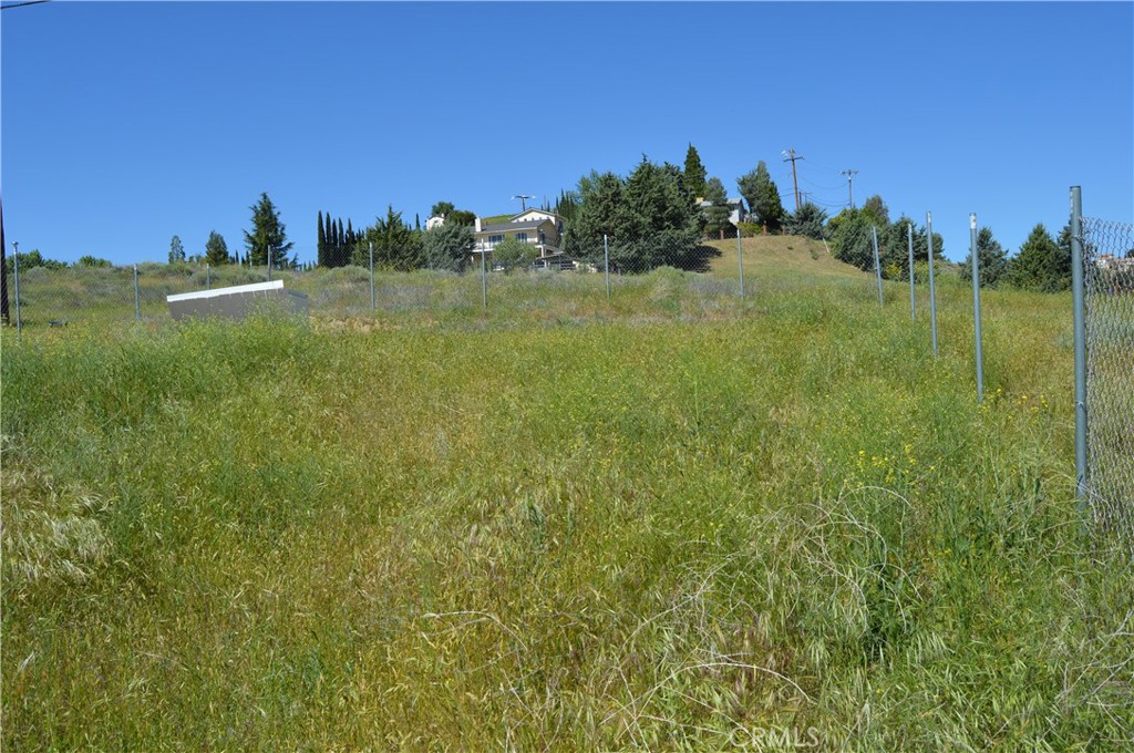 0 Elizabeth Lake Road Lake Hughes, CA 93532 - Photo 7 of 24 a view of a field with a tree in the background