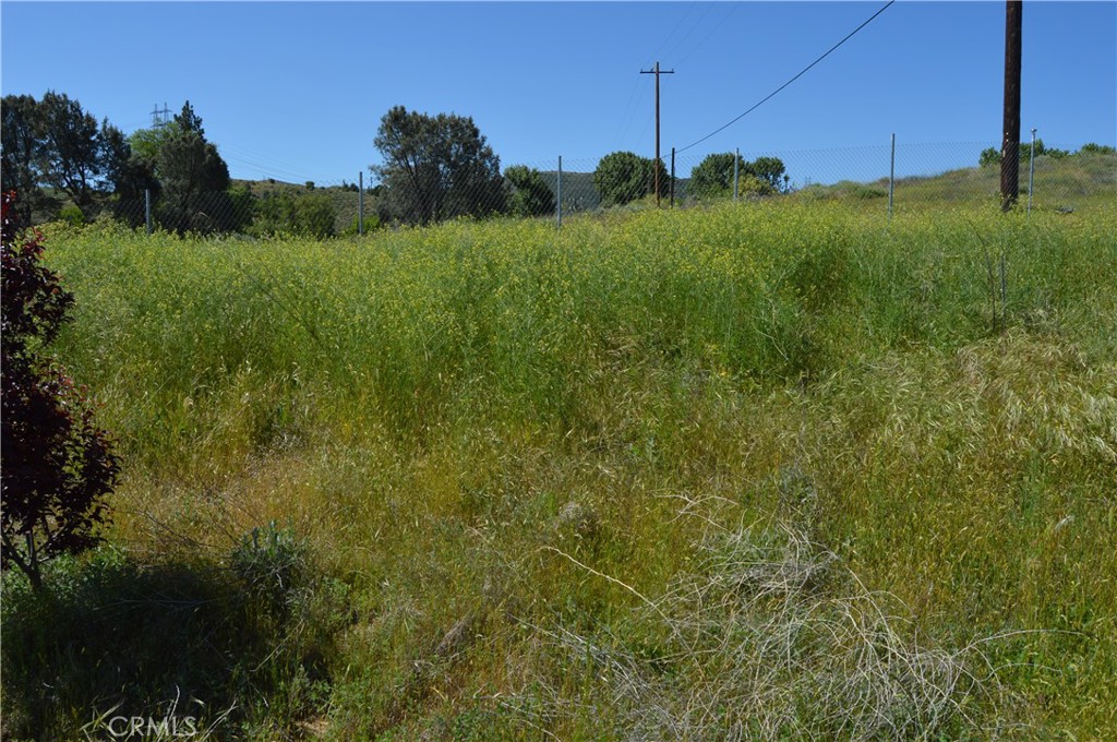 0 Elizabeth Lake Road Lake Hughes, CA 93532 - Photo 8 of 24 a view of a field of grass and trees
