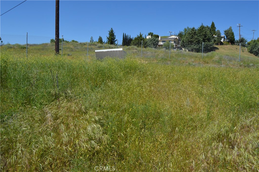 0 Elizabeth Lake Road Lake Hughes, CA 93532 - Photo 9 of 24 a view of a grassy field with an trees