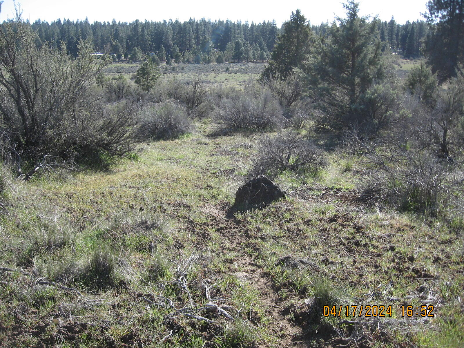 Brant Drive Bonanza, OR 97623 - Photo 9 of 25 9