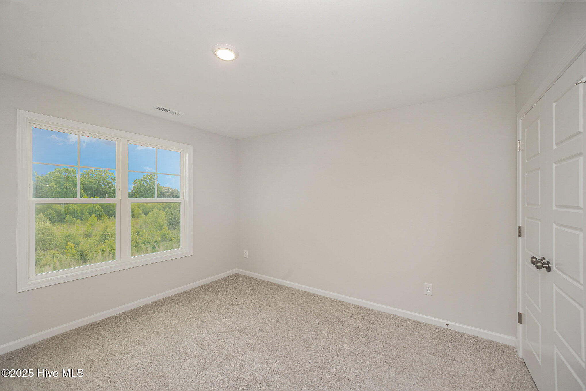 44 Chloe Court Selma, NC 27576 - Photo 7 of 27 44 Chloe Ct 19