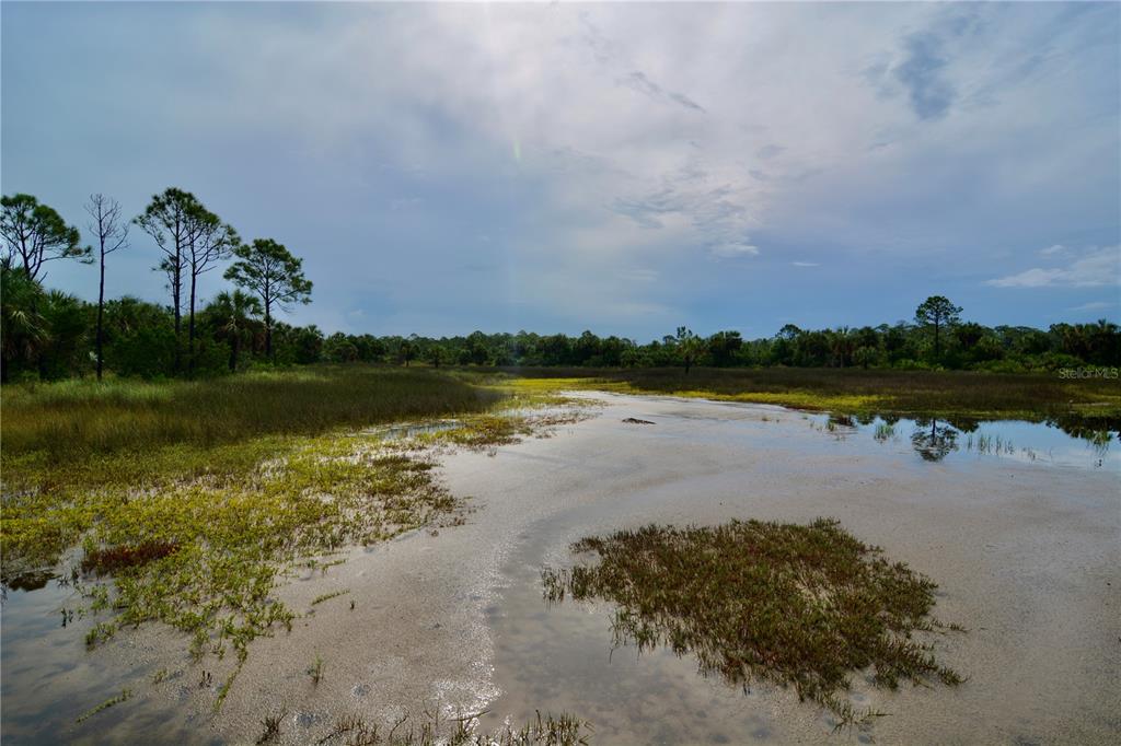 0 Lots 18 19 Adams Beach Road Perry, FL 32348 - Photo 13 of 25