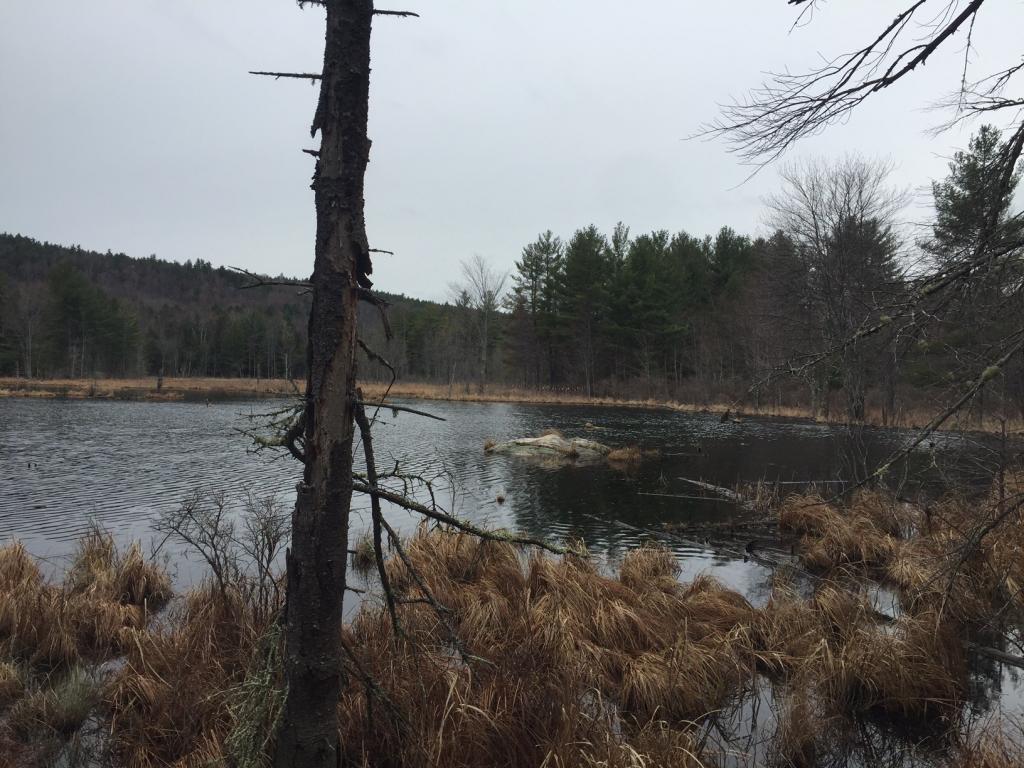 0 Gilmanton Road Barnstead, NH 03218 - Photo 11 of 11