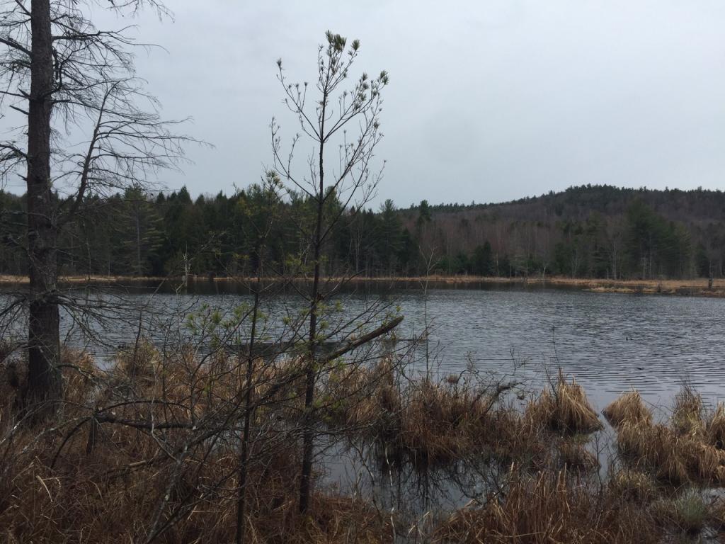 0 Gilmanton Road Barnstead, NH 03218 - Photo 9 of 11