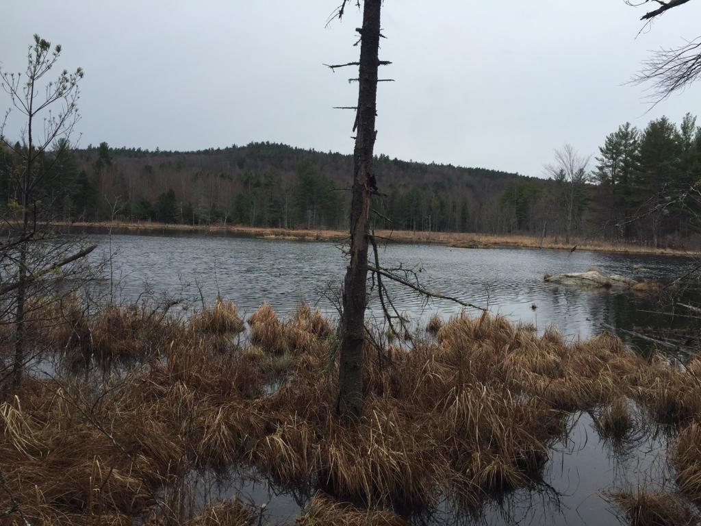 0 Gilmanton Road Barnstead, NH 03218 - Photo 10 of 11
