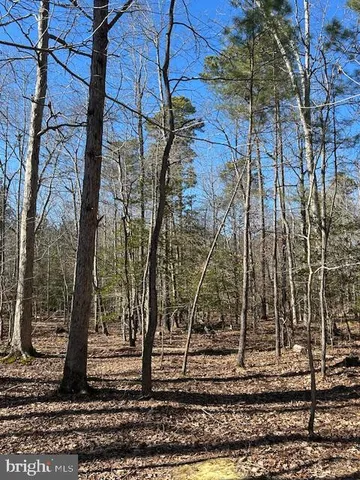 $69,000 | 0 Laurie Lane, Woolford, MD 21677