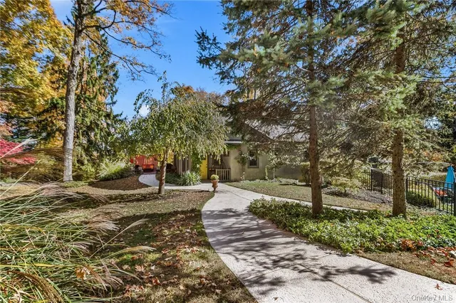 a view of a yard with plants and trees