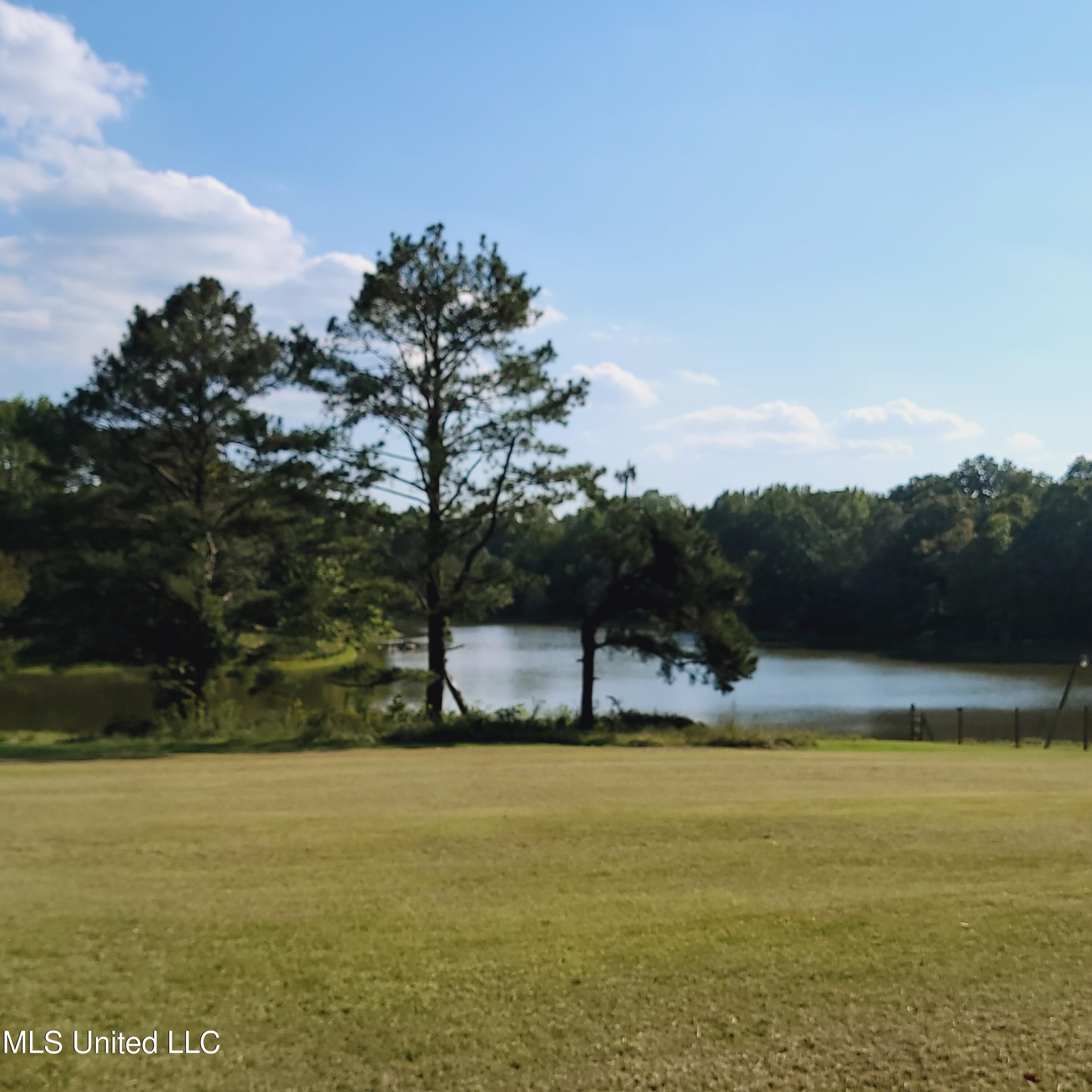 415 Metra Road Coldwater, MS 38618 - Photo 28 of 31 20230925_155032
