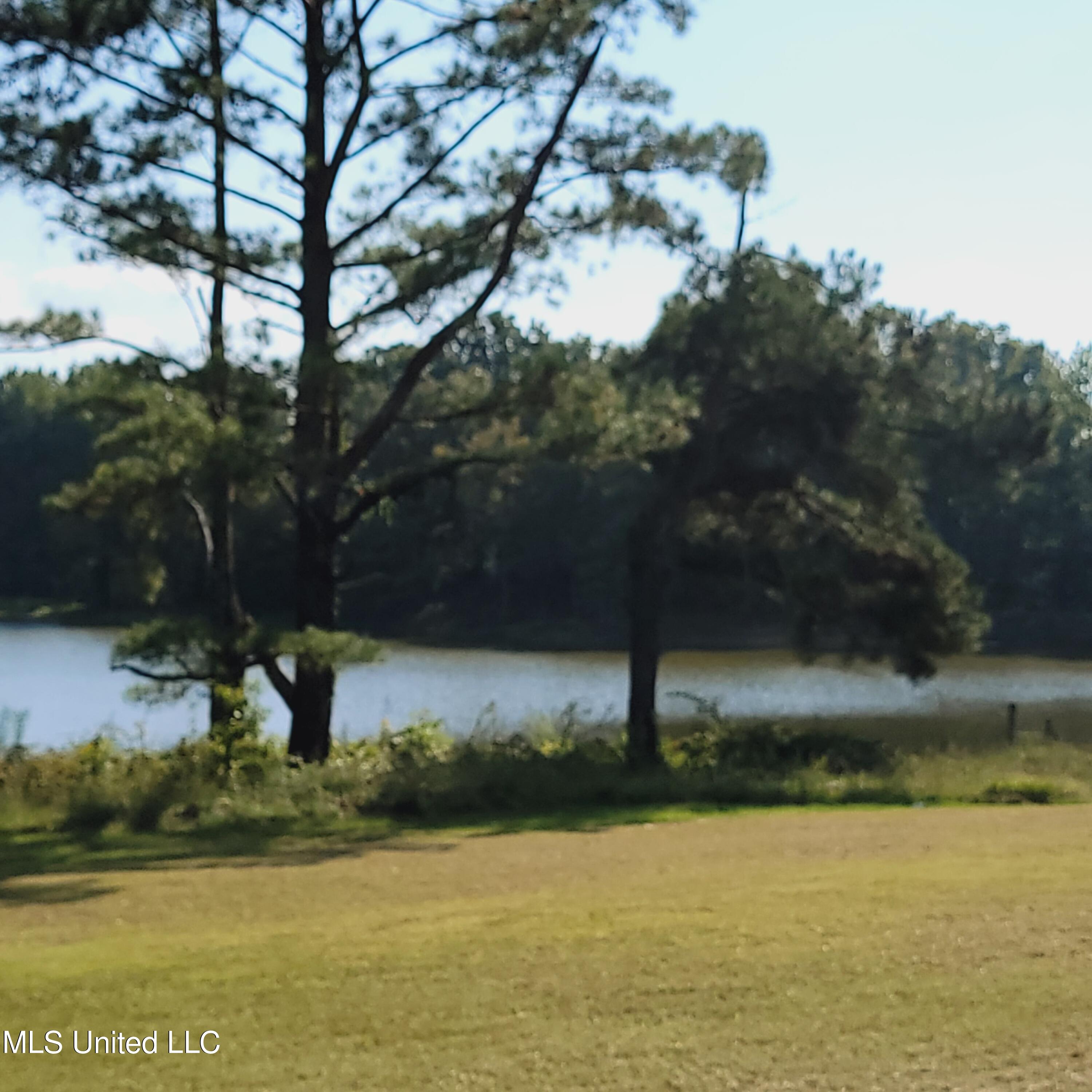 415 Metra Road Coldwater, MS 38618 - Photo 29 of 31 20230925_155117