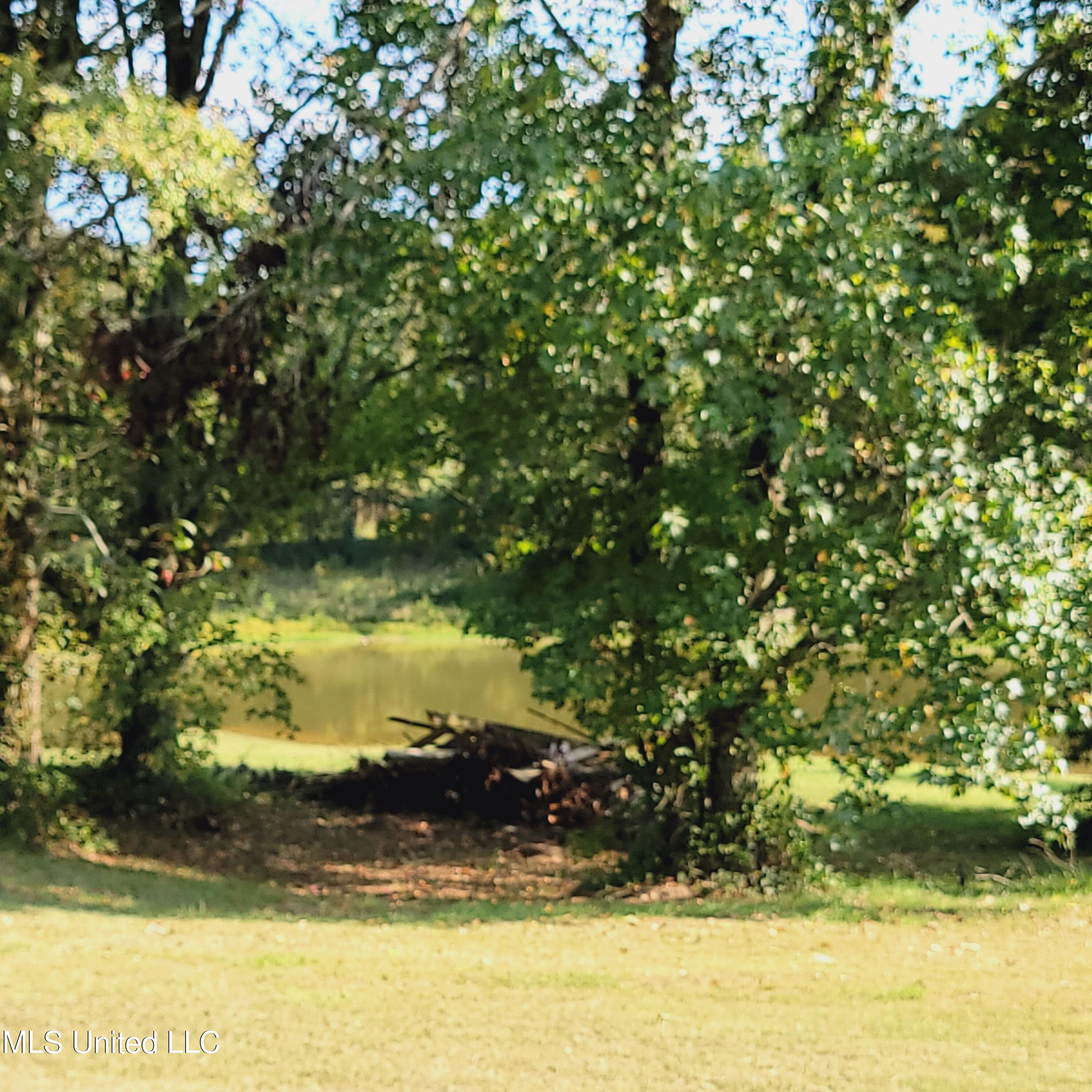 415 Metra Road Coldwater, MS 38618 - Photo 30 of 31 20230925_155122