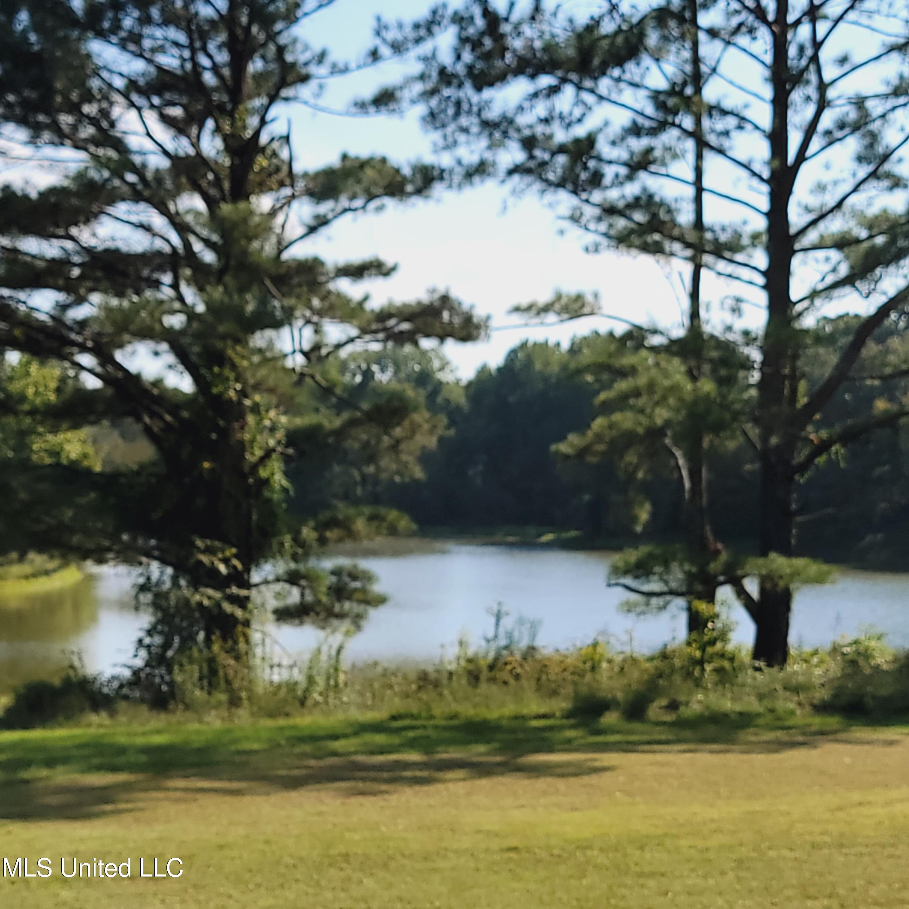 415 Metra Road Coldwater, MS 38618 - Photo 31 of 31 20230925_155113