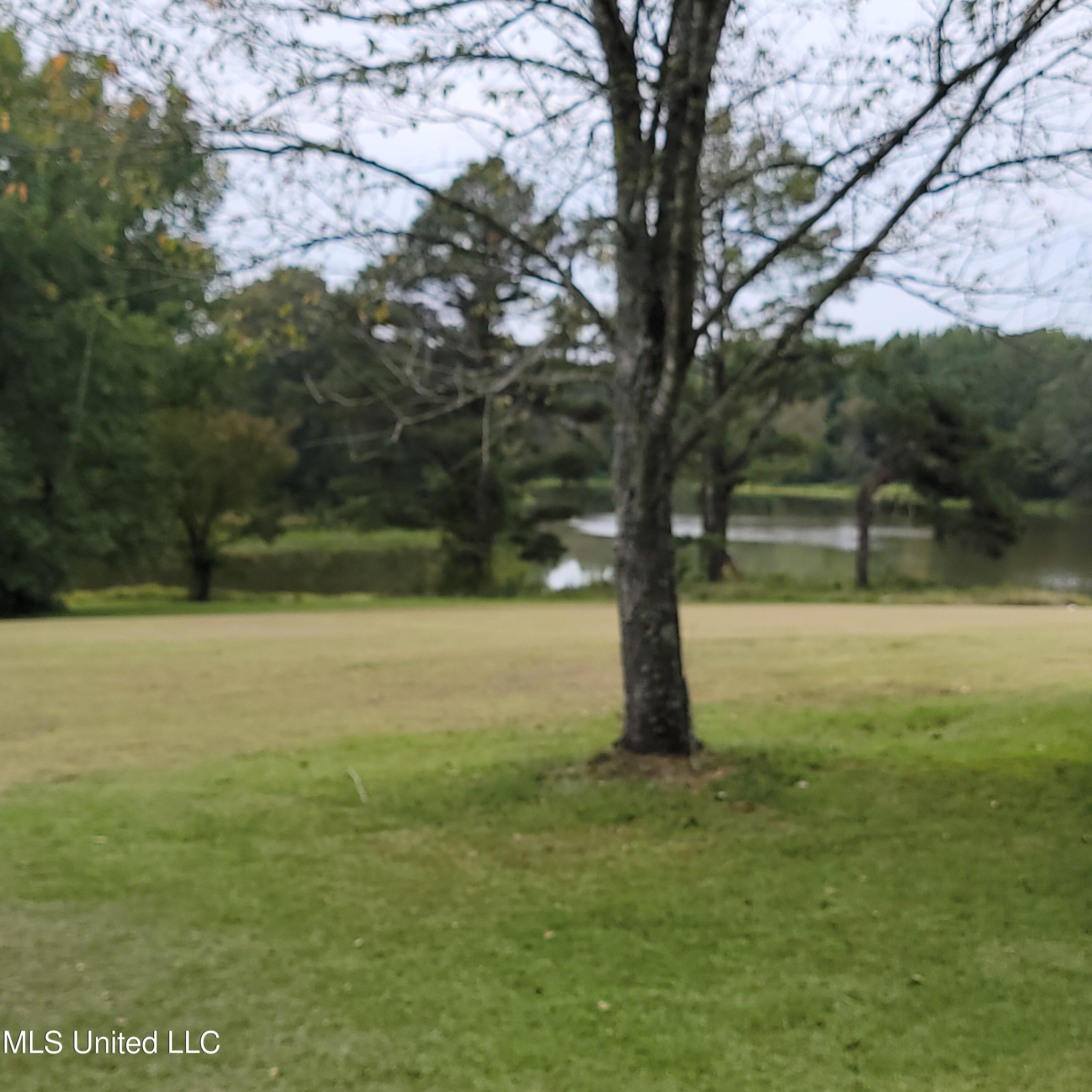 415 Metra Road Coldwater, MS 38618 - Photo 5 of 31 20230924_114255