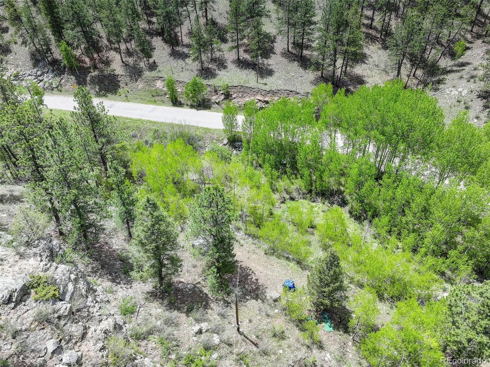 400 Crow Valley Road Bailey, CO 80421 - Photo 11 of 28