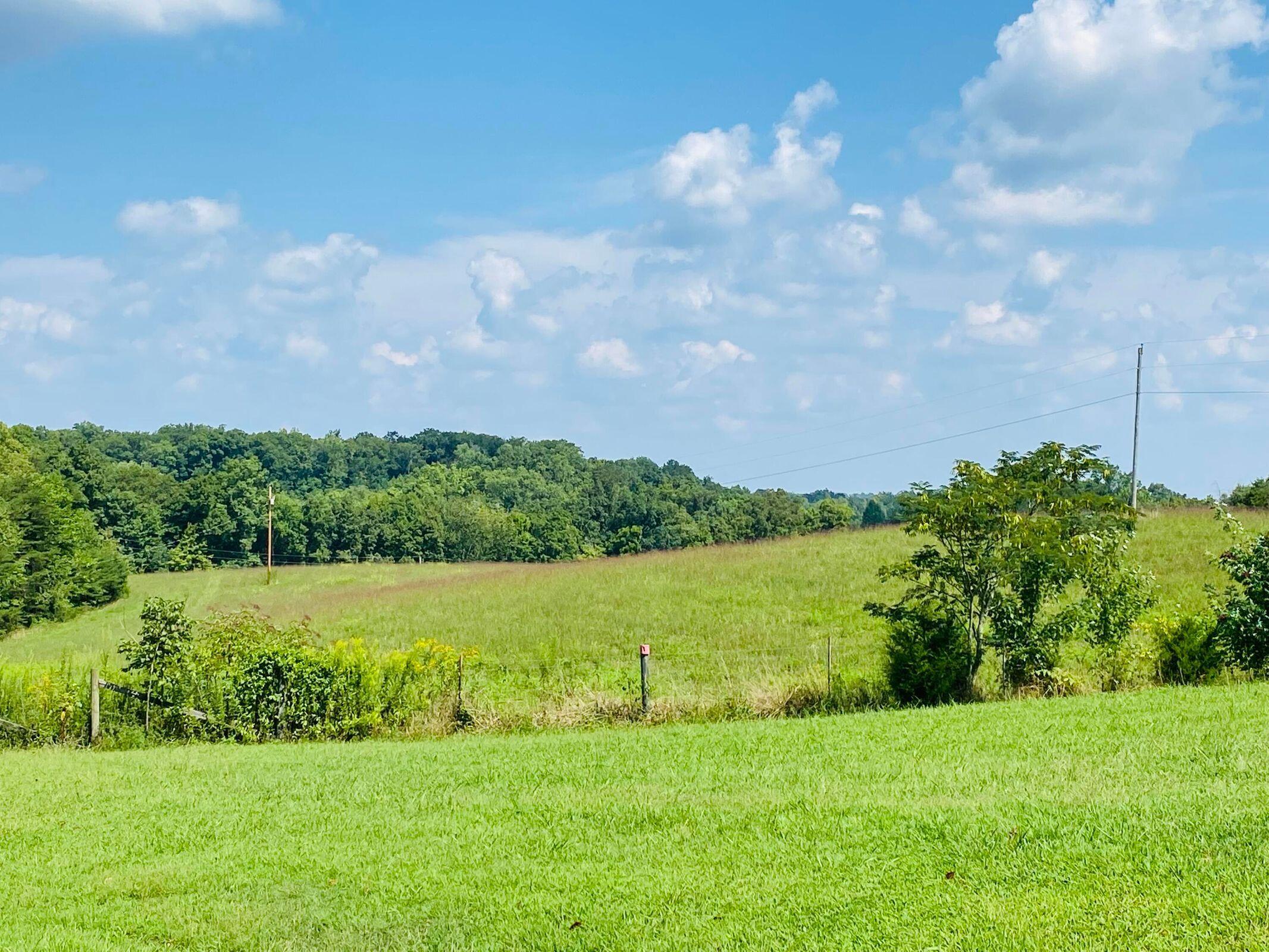 5 Beech Grove Road Nancy, KY 42544 - Photo 1 of 14 20210826021716440788000000-o