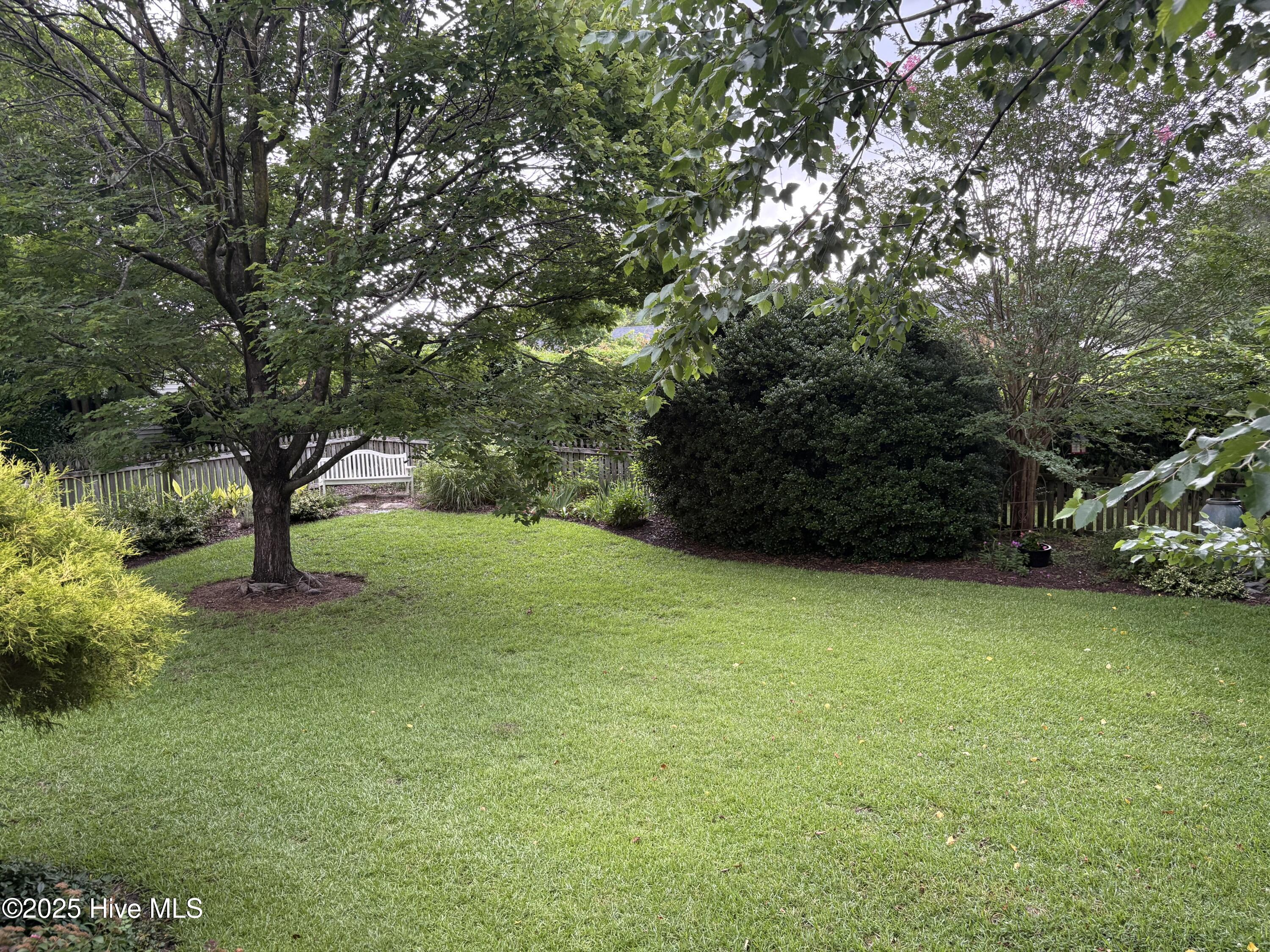 1009 Colleton Way New Bern, NC 28562 - Photo 31 of 37 Back yard