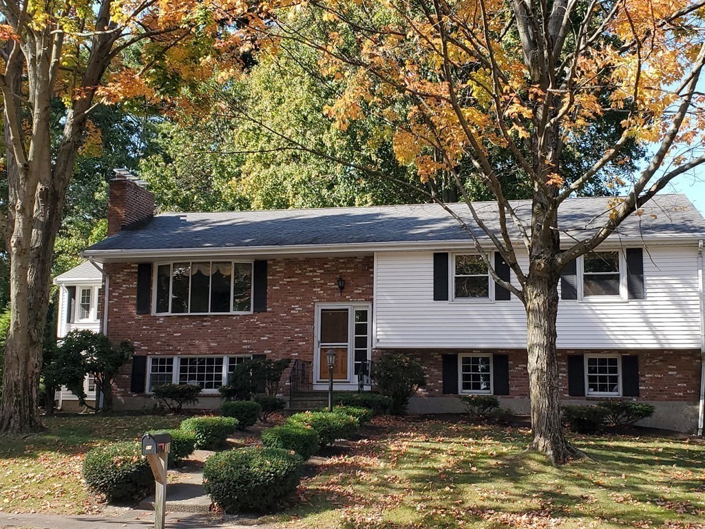 11 Williams Street Canton, MA 02021 - Photo 2 of 29 Gallery Image 2