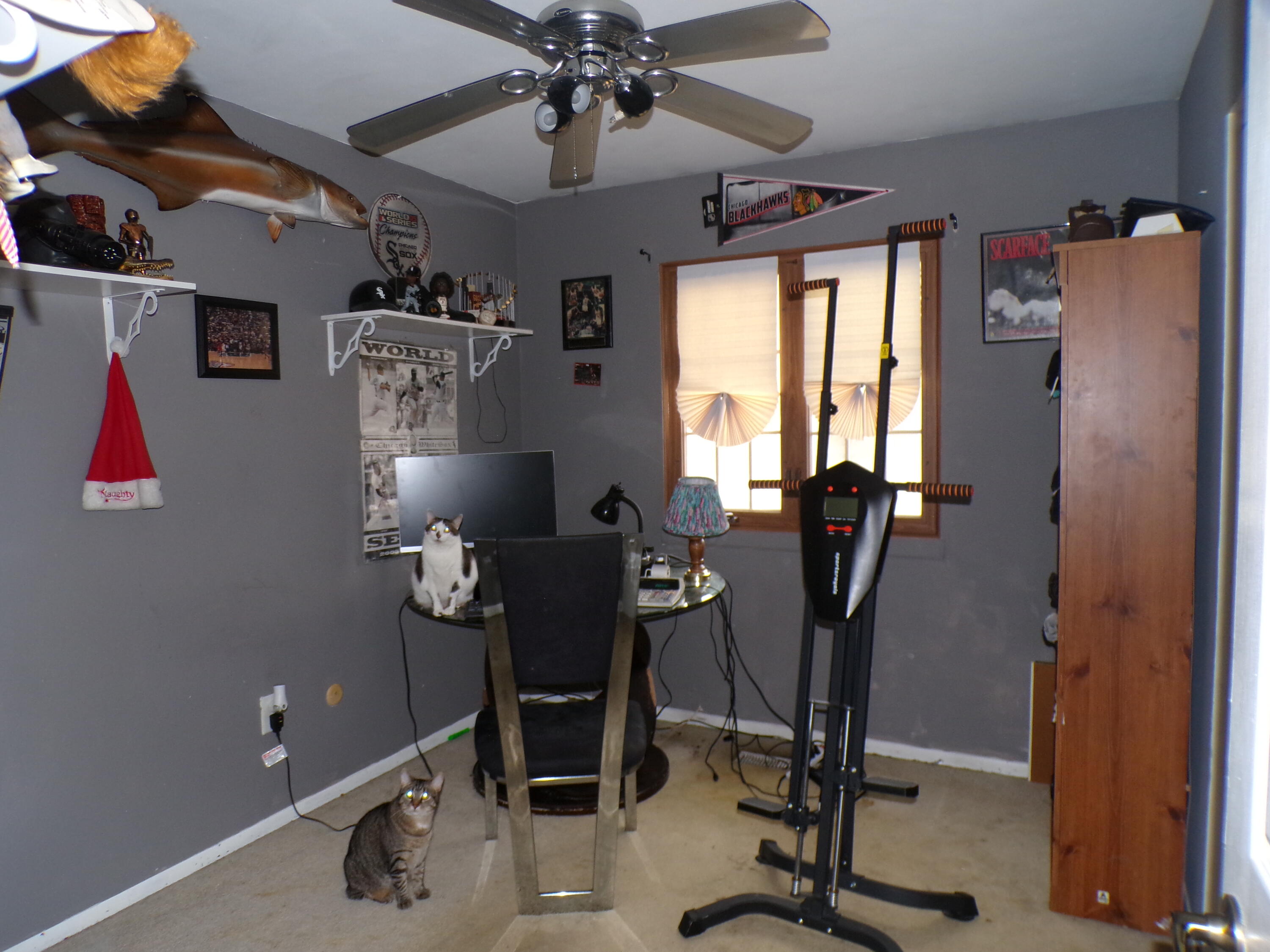 1643 North Indiana Place Griffith, IN 46319 - Photo 20 of 27 3000x2250