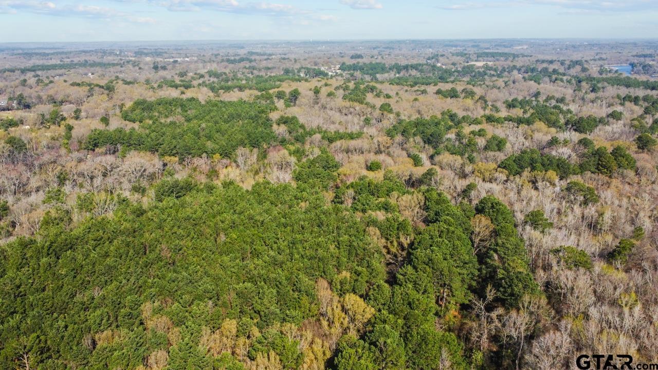 4141 Brazos Boulevard Tyler, TX 75702 - Photo 4 of 9 an aerial view of forest