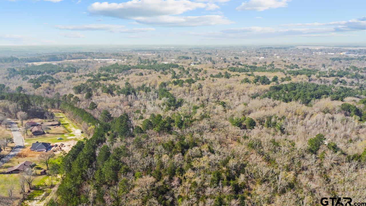 4141 Brazos Boulevard Tyler, TX 75702 - Photo 6 of 9 a view of a city