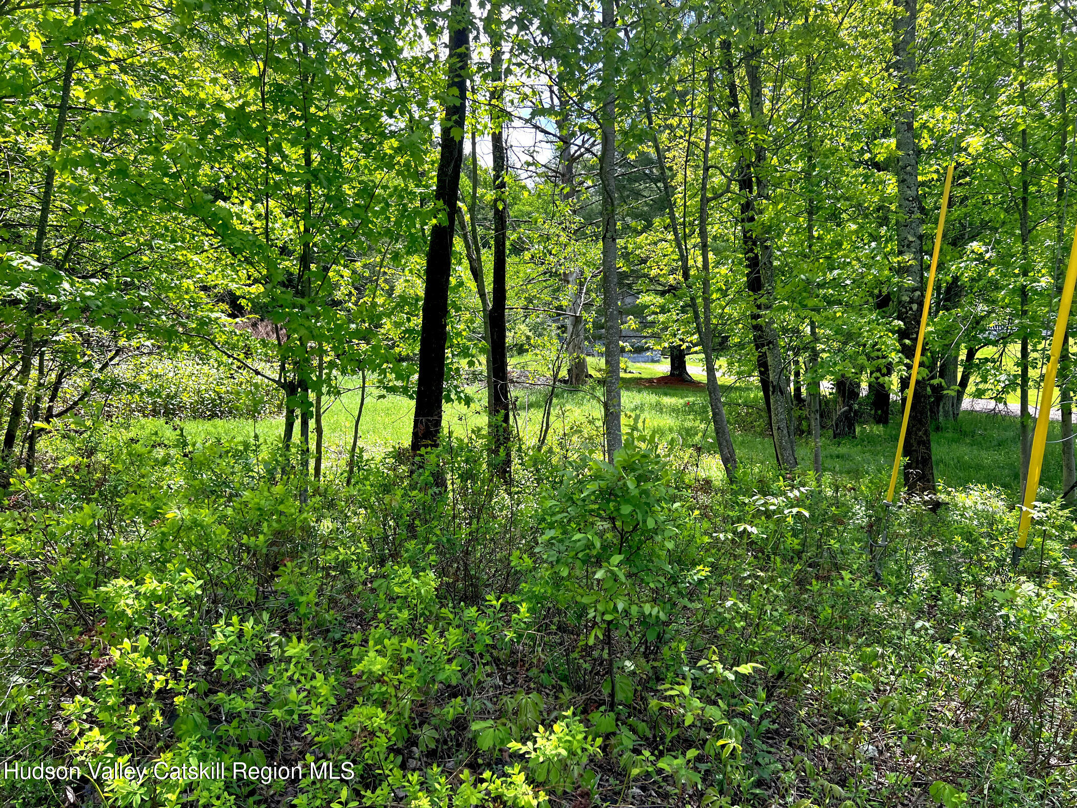 217 Platte Clove Road Elka Park, NY 12427 - Photo 17 of 18 a backyard of a house with lots of swings and slides