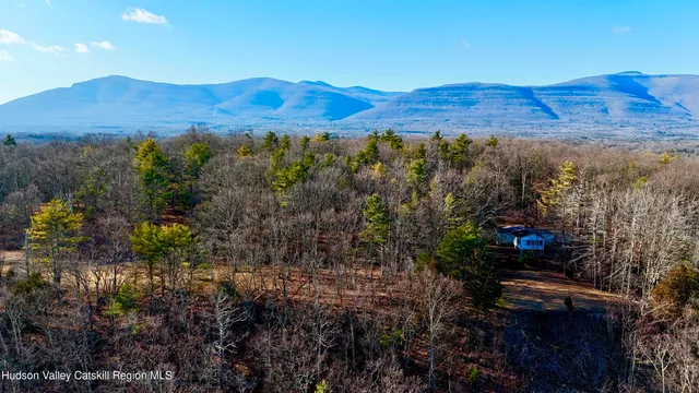 a view of pathway along with plants