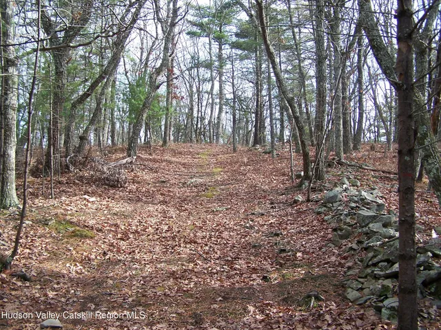 a view of outdoor space with tree s