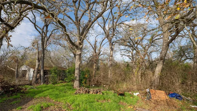 a backyard of a house with lots of green space
