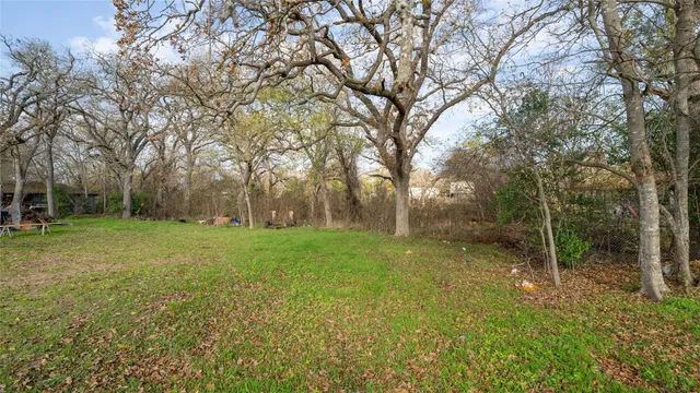 a view of backyard with green space