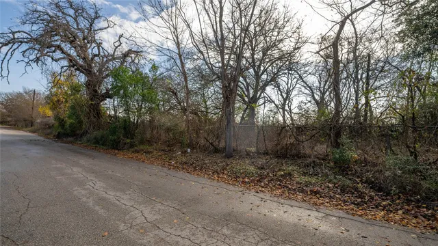 a view of a dry yard with trees