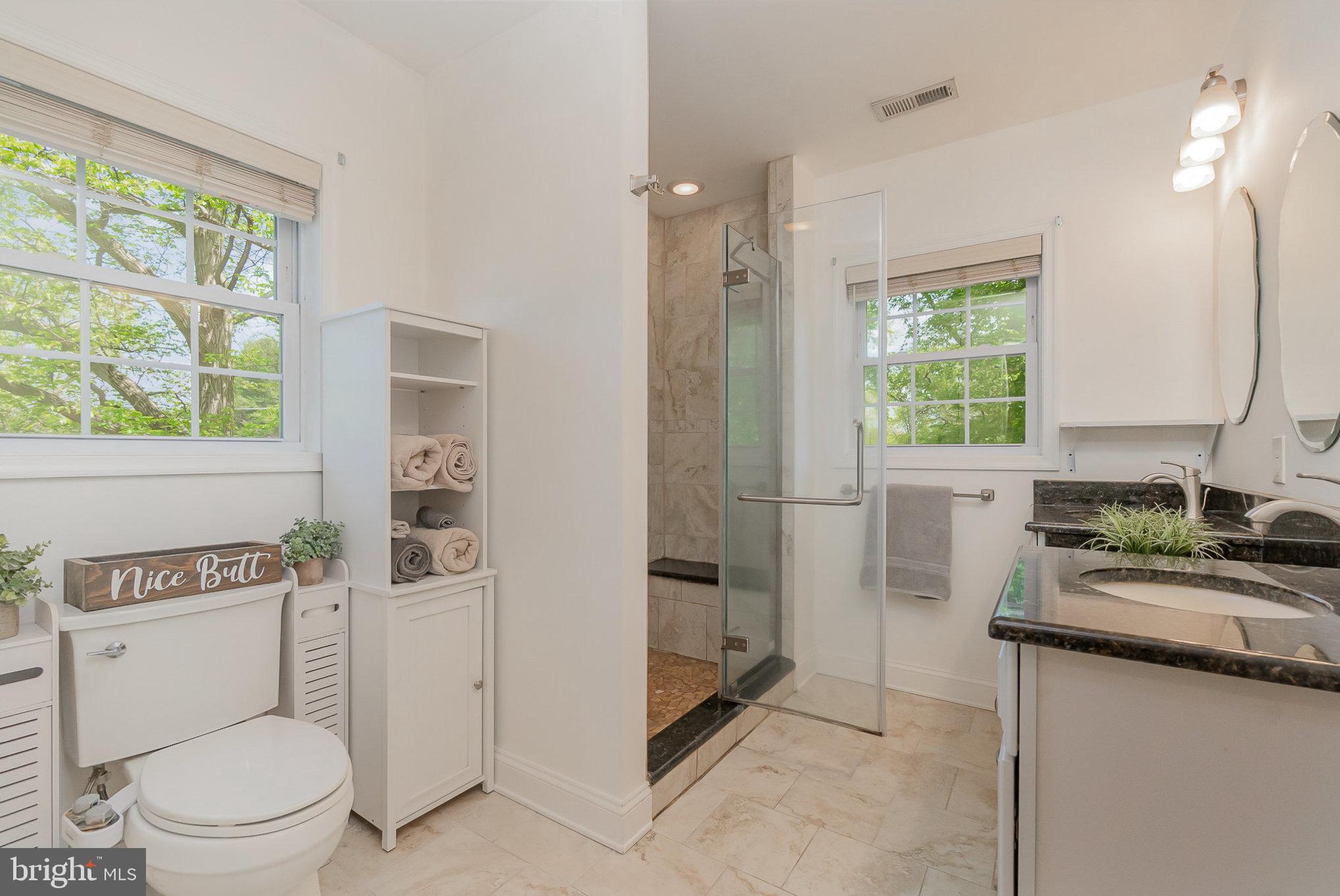 3247 Forge Hill Road Street, MD 21154 - Photo 19 of 49 Primary bath w/ modern fixtures