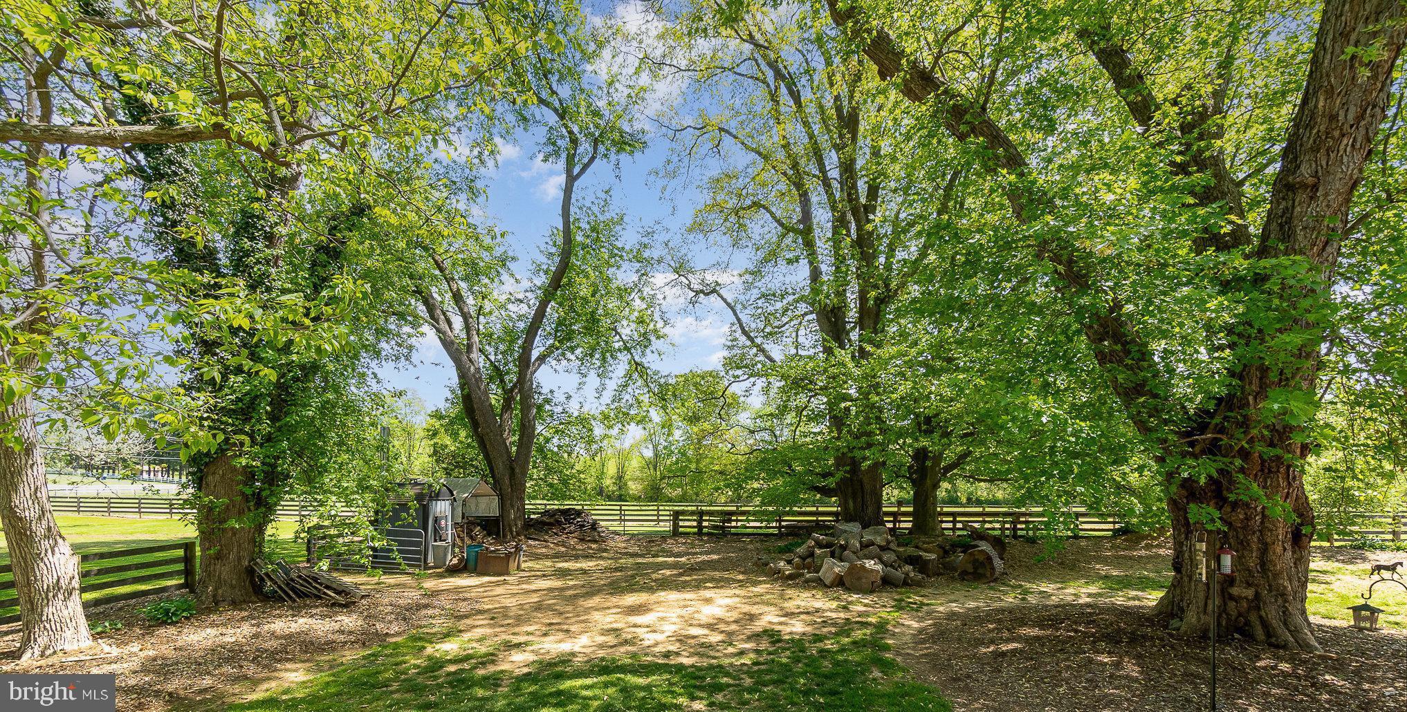 3247 Forge Hill Road Street, MD 21154 - Photo 47 of 49 Mature trees sweep your cares away