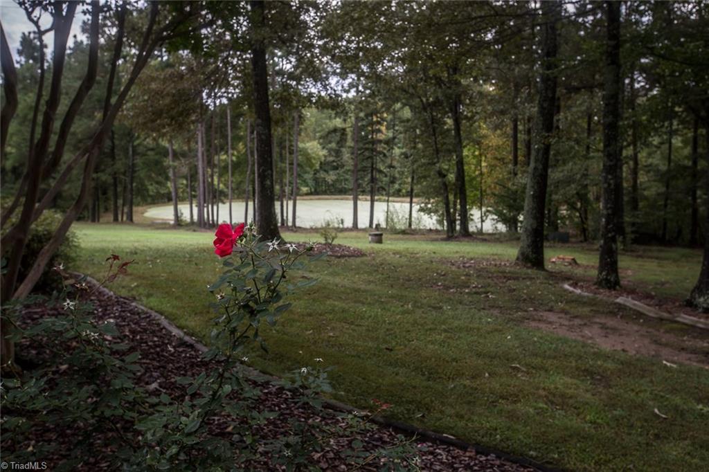 6823 Coltrane Mill Road Randleman, NC 27317 - Photo 26 of 30