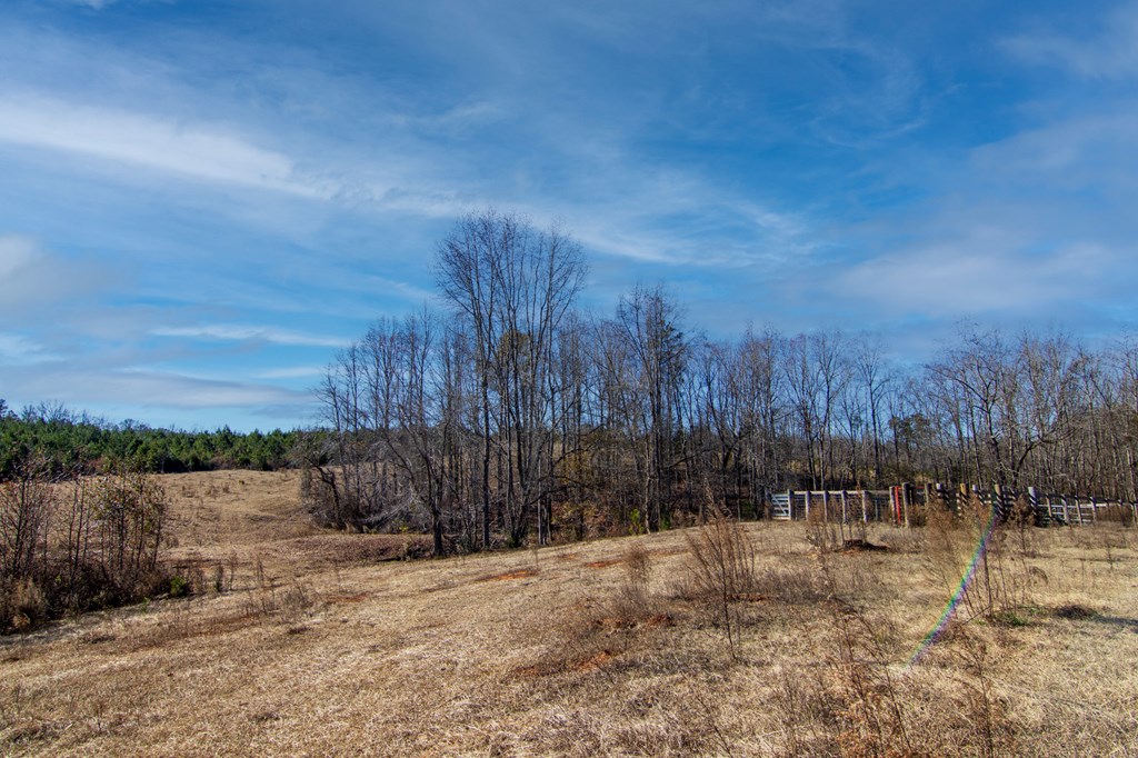 4-0 Chestnut Grove Road Shiloh, GA 31826 - Photo 14 of 35 Gallery Image 14