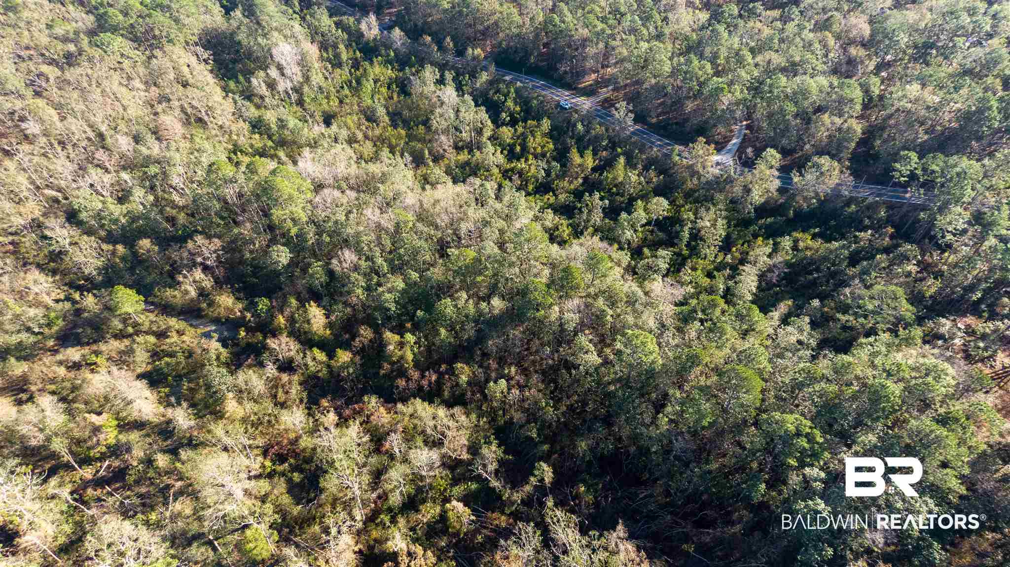 0 McPhillips Road Loxley, AL 36551 - Photo 14 of 27
