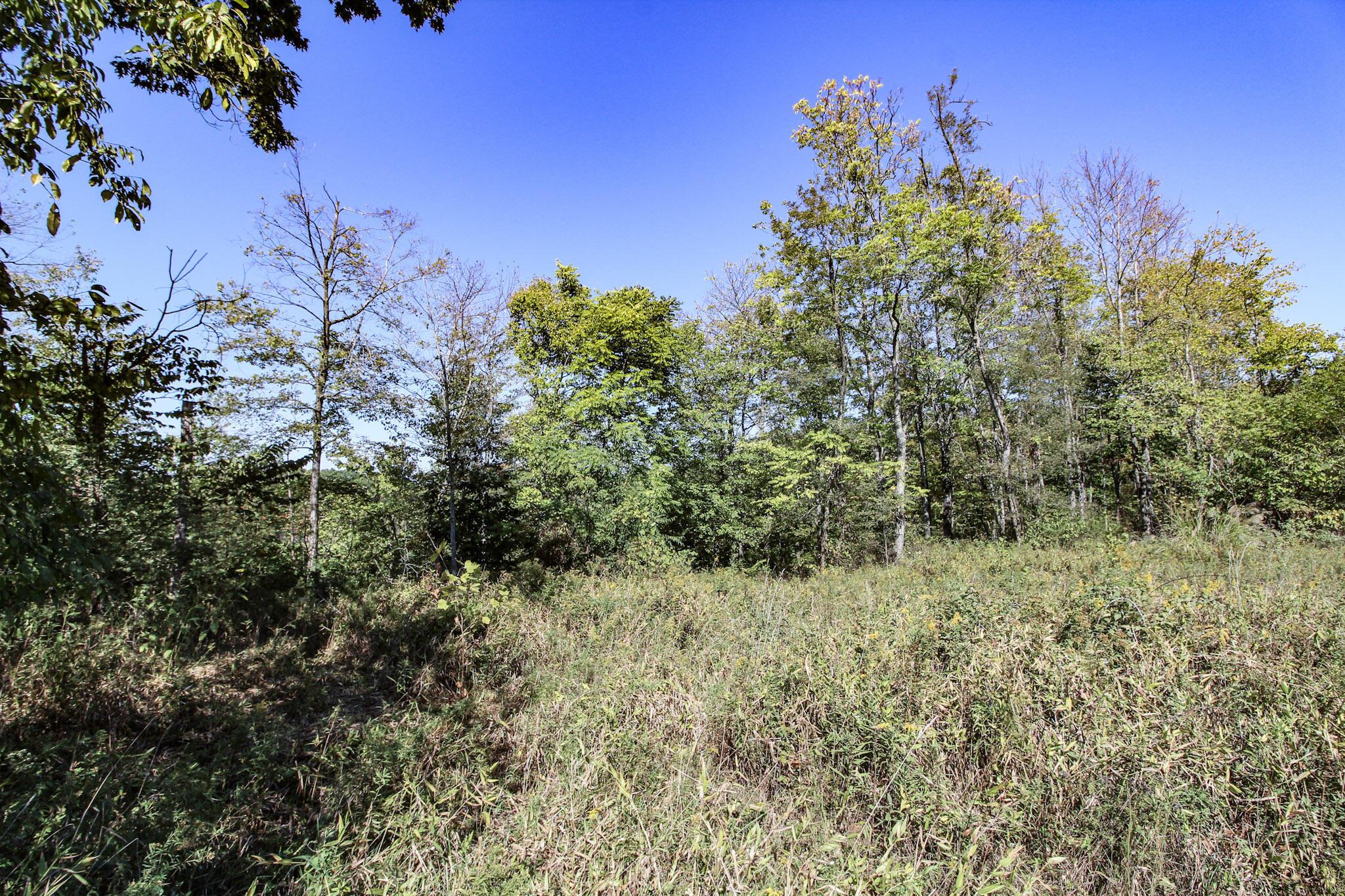 Lot 4 Moss Run Road Marietta, OH 45750 - Photo 4 of 14