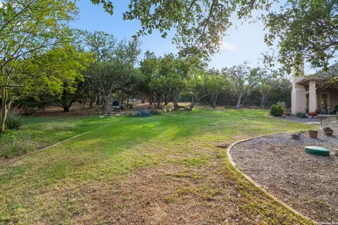 a view of a park with large trees