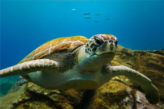 $25,000 | 2 Davit Court, Placida, FL 33946