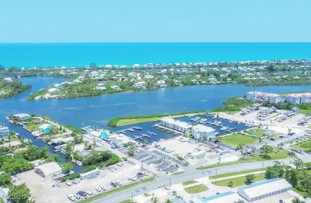 a view of ocean with palm trees