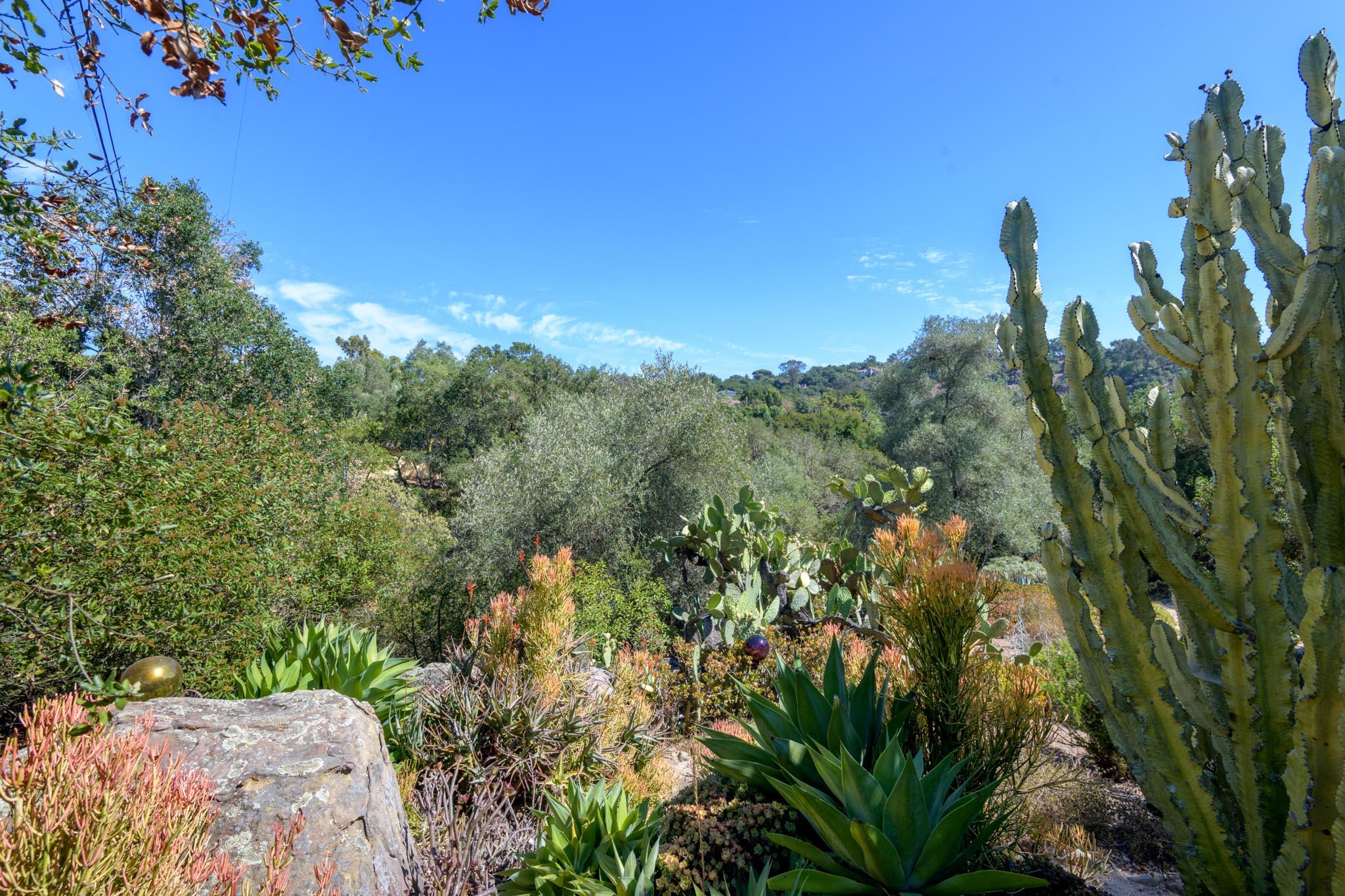 2016 Foothill Road Santa Barbara, CA 93105 - Photo 6 of 36 Views