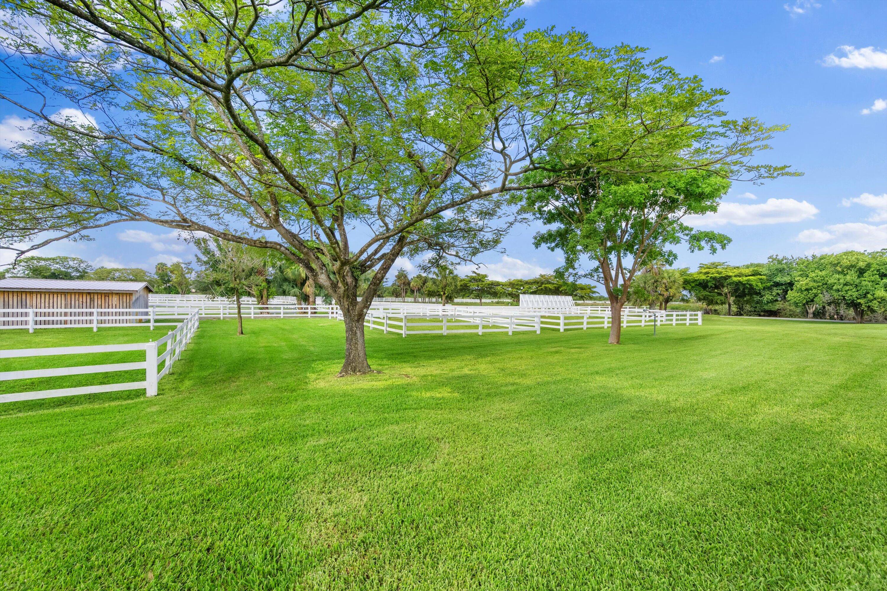 3287 Grande Road Loxahatchee, FL 33470 - Photo 106 of 126 a view of green field