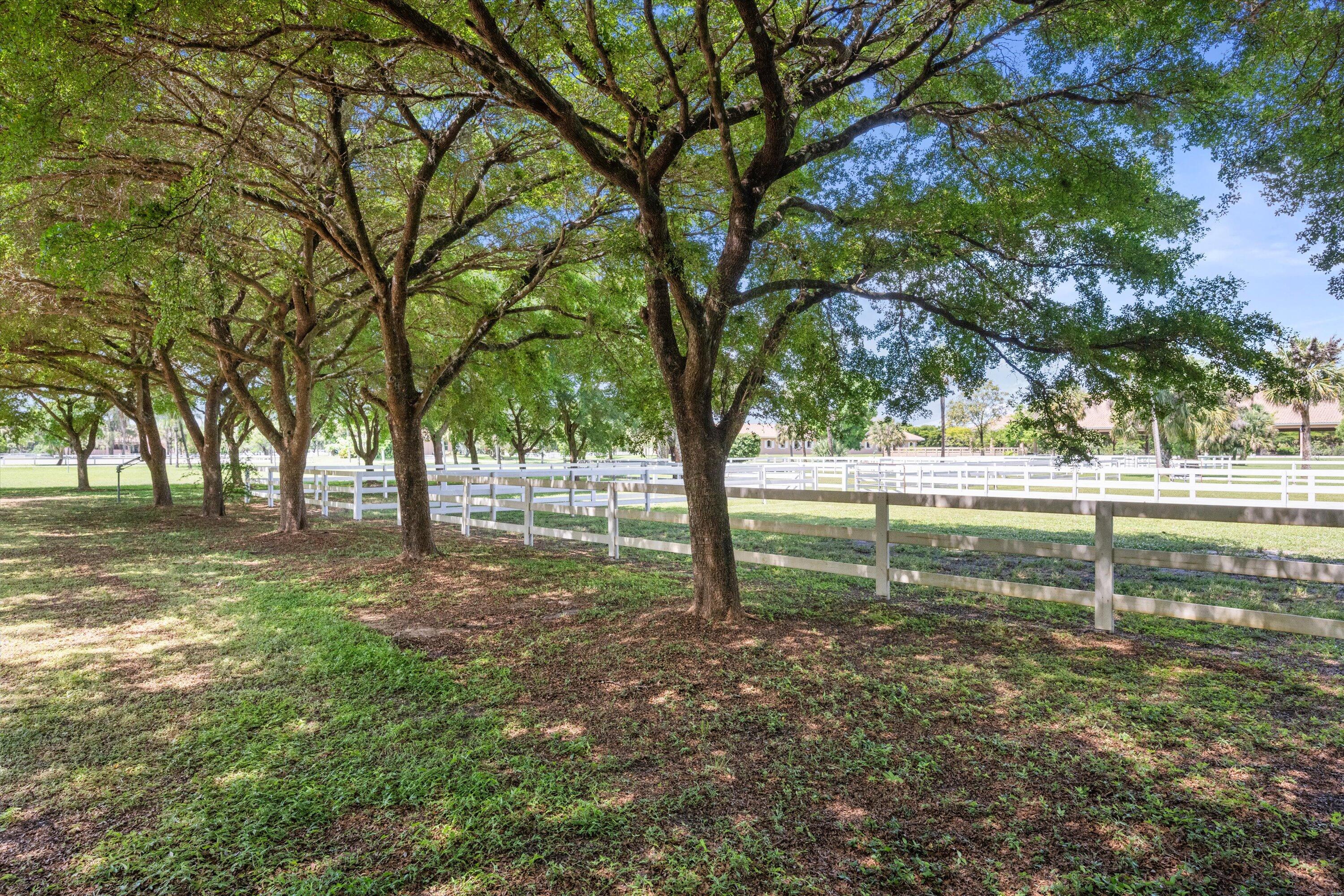 3287 Grande Road Loxahatchee, FL 33470 - Photo 116 of 126 a view of backyard with green space